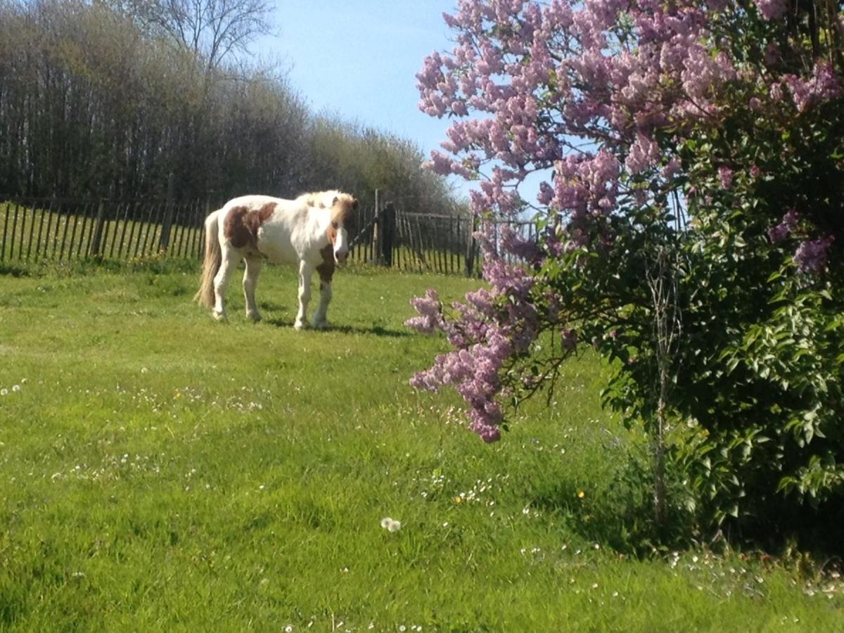 My Little Sweet Home Colombe  Bagian luar foto